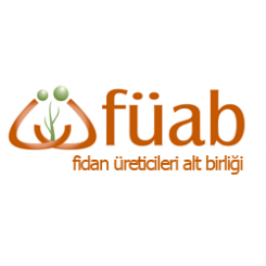 Şirket Kurma Çalışması Duyurusu